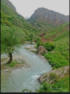 مهران لر...طبیعت زیبای بهاری الیگودرز لرستان👌👌👌☝️