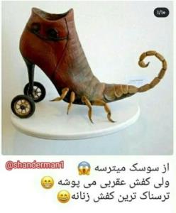 خهخ این دیگ سم نی عفونت خالصه😿😹