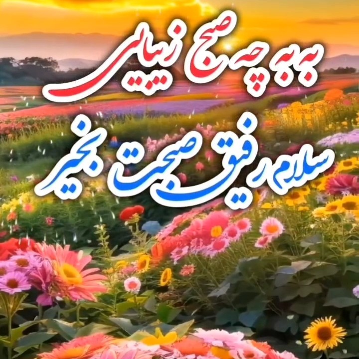 سلام صبح همگی بخیر 🌺🌺🌺🌺