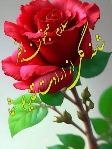 صبح بخیر دوستان امضای خدا پای تک تک آرزوهاتون 🤲🌹🌹🌹