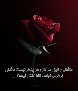 عشق.... ♥