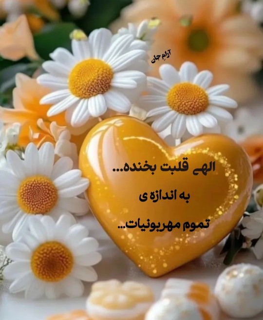 سلام 🌼🧡🌼