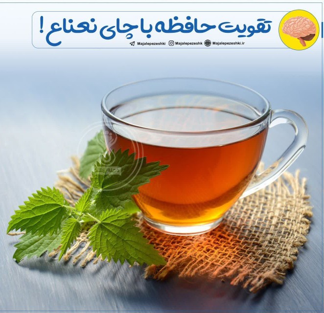 تقویت حافظه با چای نعناع !🌱

▫️حافظه با مصرف چای نعناع و عط