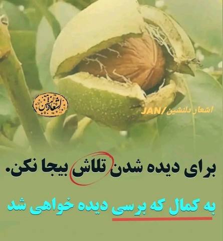 تلاش بیجا نکن