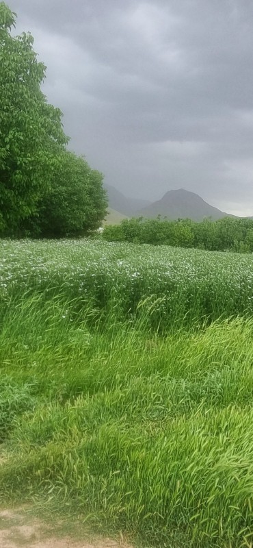 الشتر لرستان روستای جوانمرد ساکی