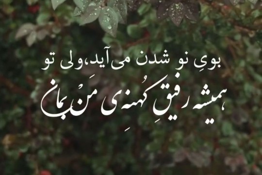 بوی نو شدن....