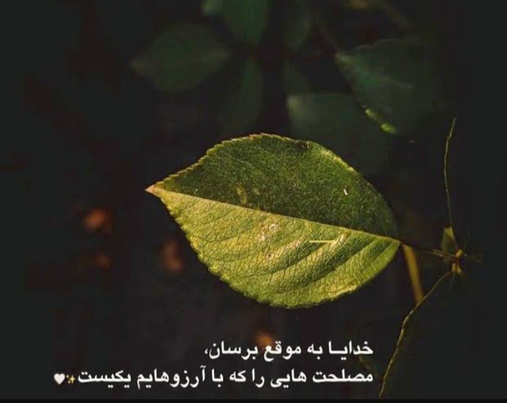 الهی آمین 