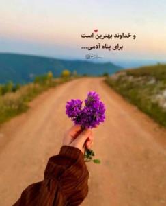 و خداوند بهترین است
برای پناه آدمی...
‌
