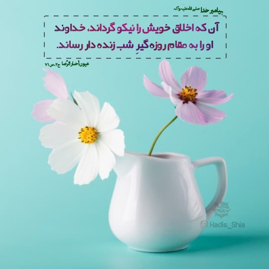 آن که اخلاق خویش 