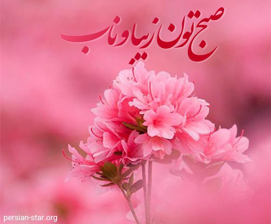 صبح بخیر وشادی 🌹🌹🌹🌹