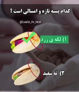 آجیل شناسی 