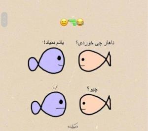 رابطه های مجازی 😂😂😂