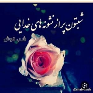 شب بخیر عزیزم خوبی 