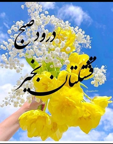 سلام صبح زیباتون🌺🌺