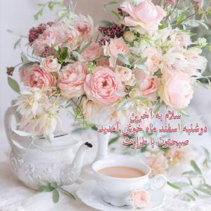 🌸💫ســـلام 😊✋

🤍💫بہ آخرین دوشنبه 1403خوش آمدید 