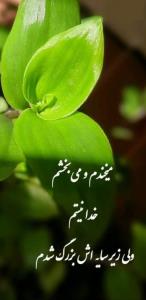 میخندم و می بخشم ‌.‌..💚