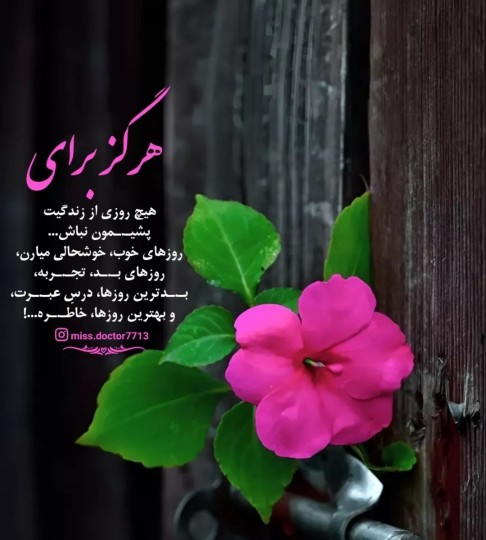 هرگز برای 