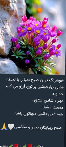 برادر وخواهران عزیز در این روز آخری بدی از من دیدین حلالم کن