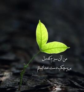 سلام صبحتون متبرک به نگاه خدا 💚🌱