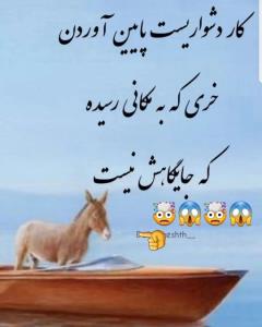 جایگاه  ۰۰۰🦓👉🤣🤣🤣👋