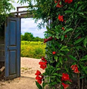 گفتم خوشا هوایی کز باد صبح خیزد.گفتاخنک نسیمی کزکوی دلبرآید