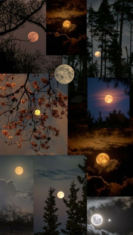 ولی زیبایی ماه✨🌕