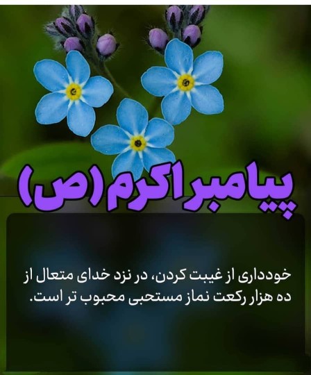 اللهم صل علی محمد وآل محمدوعجل فرجهم🌻🌷🌹🌺🌹🌷🌻