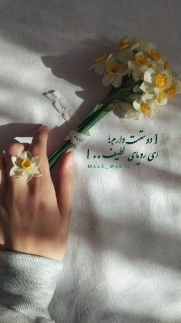 دوست دارم ای رویایی لطیف 🌹😍