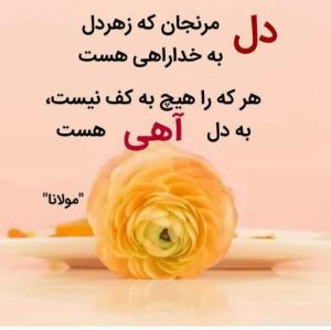 عکاسخونه