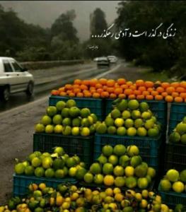 زندگی در گذر است  و آدمی رهگذر  🍁