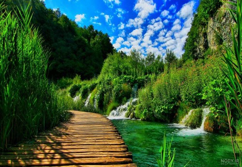 گپ ببری مهربون خوش آمدین🤠🐯😎