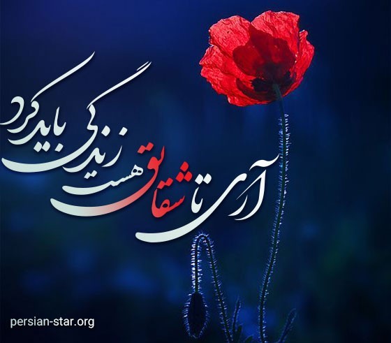آری...😔🥀💔