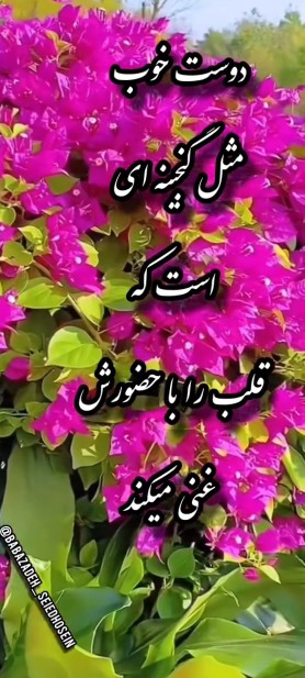 تقدیم به دوستهای خوبم خدا نگهدار شما باشه🌹🌹🌹🌹