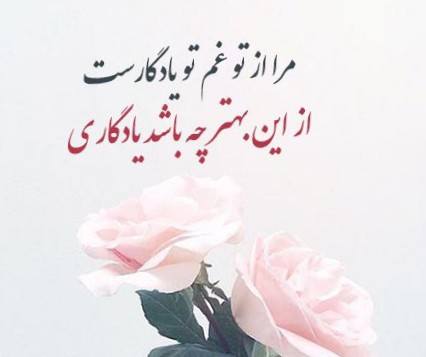 💙💙🌹