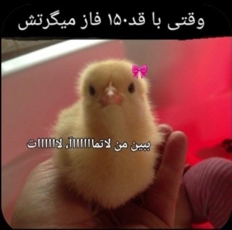 🤣🤣🤣🤣