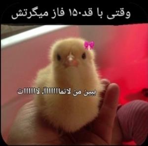 🤣🤣🤣🤣