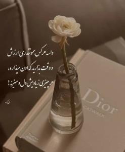 هرکسی ارزش اینو نداره که وقتتو براش تلف کنی 🙏🏻🙏🏻