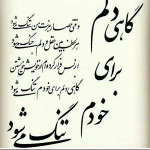 گاهی دلم برای خودم تنگ میشود.....