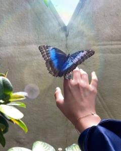 🦋💙parvanh💙تولدت مبارک دختر زیبای خبری 