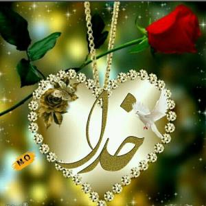 روز پنجشنبه شادی و آمرزش رفتگان صلوات محمدی بفرست🌷🌷🌷