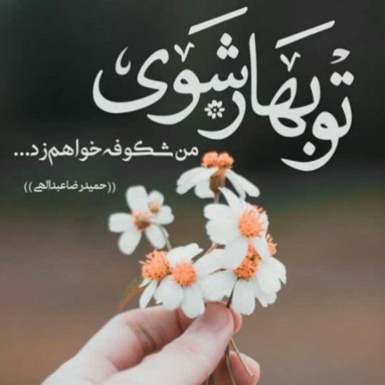 بهار شوی من شکوفه خواهم زد 