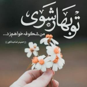 بهار شوی من شکوفه خواهم زد 