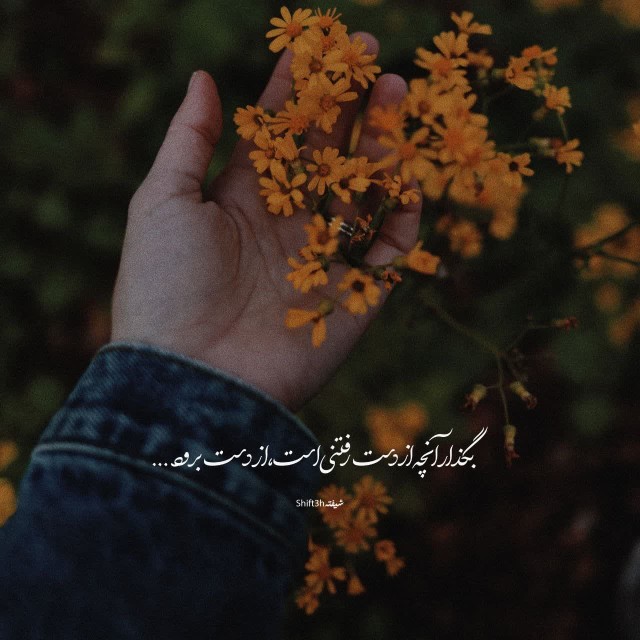 سلام 