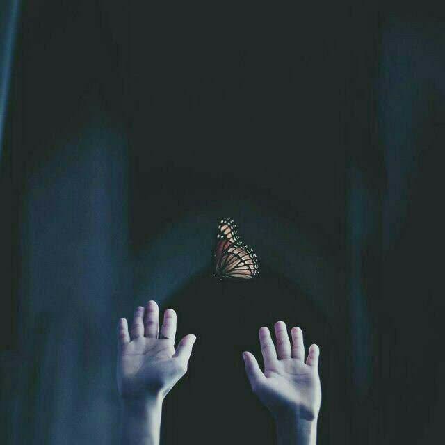 زمین گیرست جمعیت،فلک پیماست تنهایی...