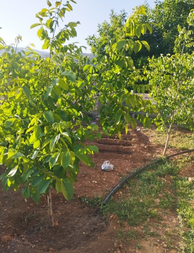 سلام 🌱🌱