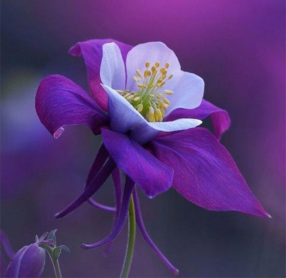 زیبااندیشان ب زیبایی رسند🌱☀️🍃👍