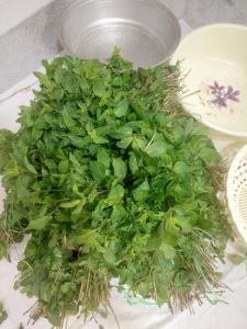 خانه ی مهتاب بانو ، حوالیِ عطرِ خوشِ نعنا....🍃