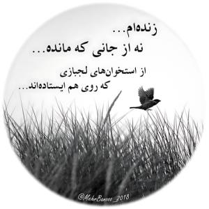 متن قشنگیه حال و روز خیلیاست👌🏻👌🏻