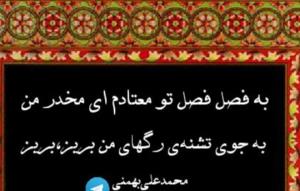 شعر 
