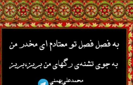 شعر 